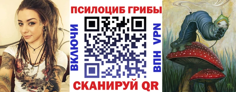 продажа наркотиков  Новый Уренгой  ОМГ ОМГ   Псилоцибиновые грибы GOLDEN TEACHER 